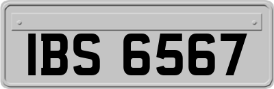 IBS6567