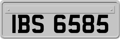 IBS6585