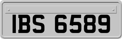IBS6589