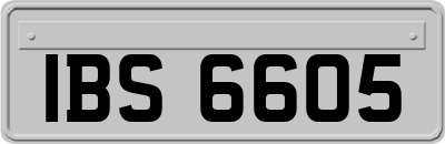 IBS6605