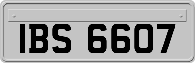 IBS6607