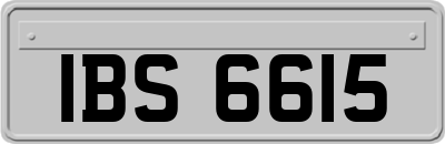 IBS6615
