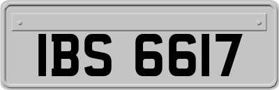 IBS6617