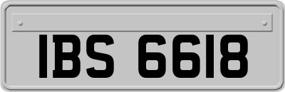 IBS6618