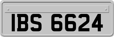 IBS6624