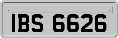 IBS6626