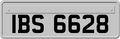 IBS6628