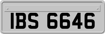 IBS6646