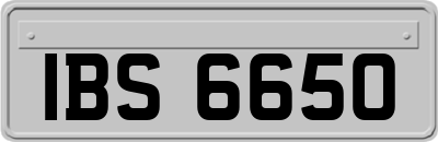 IBS6650