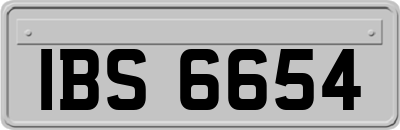 IBS6654