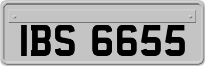 IBS6655
