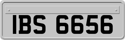 IBS6656