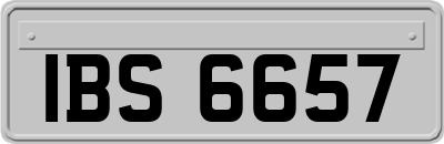 IBS6657