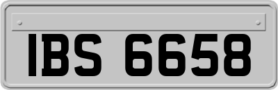 IBS6658