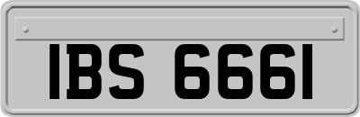 IBS6661