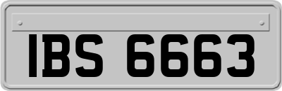 IBS6663