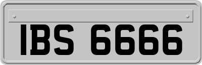 IBS6666