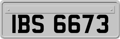 IBS6673