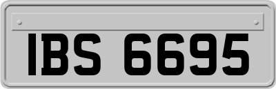 IBS6695