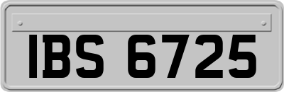 IBS6725