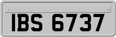 IBS6737