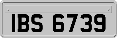 IBS6739