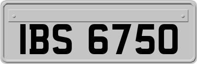 IBS6750