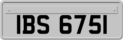 IBS6751