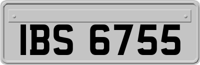 IBS6755