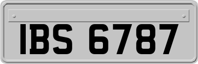 IBS6787