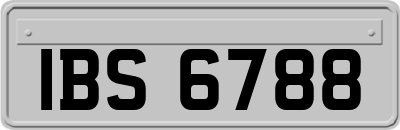 IBS6788