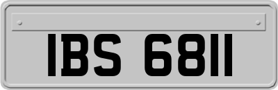 IBS6811