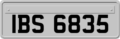 IBS6835