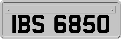 IBS6850