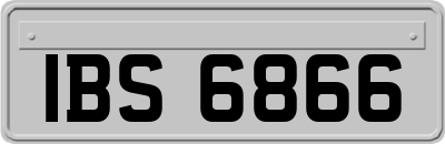 IBS6866
