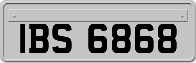 IBS6868