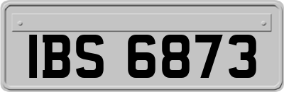 IBS6873