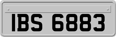 IBS6883