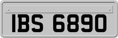 IBS6890