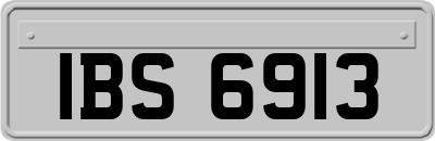 IBS6913