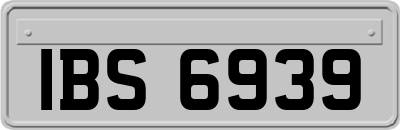 IBS6939