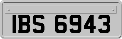 IBS6943