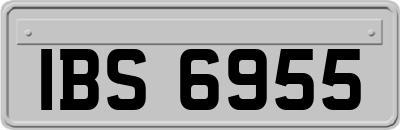 IBS6955