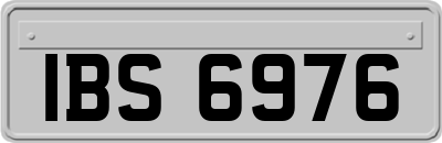 IBS6976