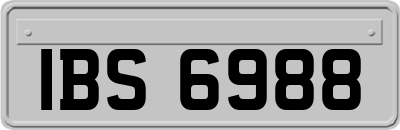 IBS6988
