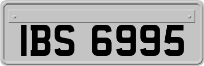IBS6995