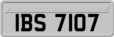 IBS7107