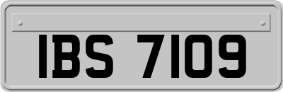 IBS7109