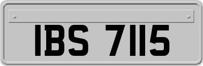 IBS7115