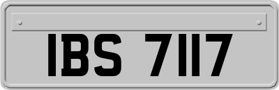 IBS7117
